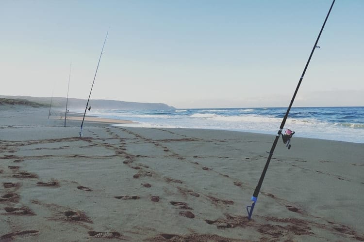 38 Best Land Based Fishing Spots in Melbourne (Saltwater) - Fishing Outlet