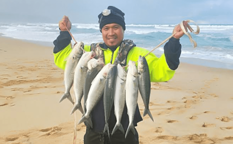 Bair or Lure for Australian Salmon? - Fishing Outlet